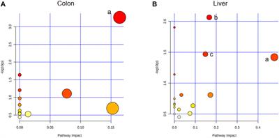 Systematic evaluation of irinotecan-induced intestinal mucositis based on metabolomics analysis